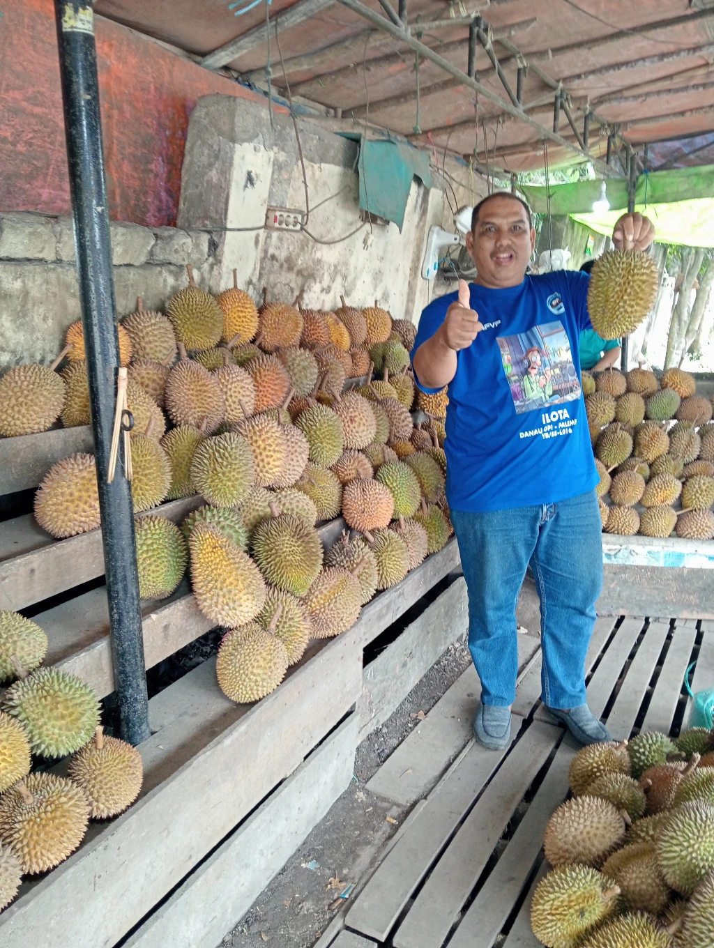 IBNU SULAIMAN